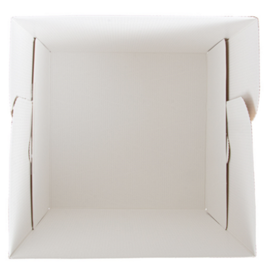 TALL CAKE BOX 25,4x25,4x30,5 CM