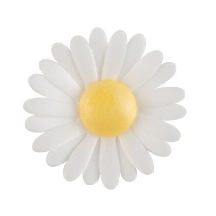 Wafer Paper White Daisies 4.5cm