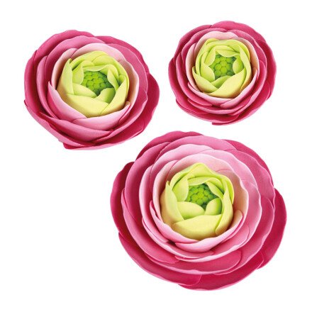 Sugar Ranunculus - Large 6.5cm