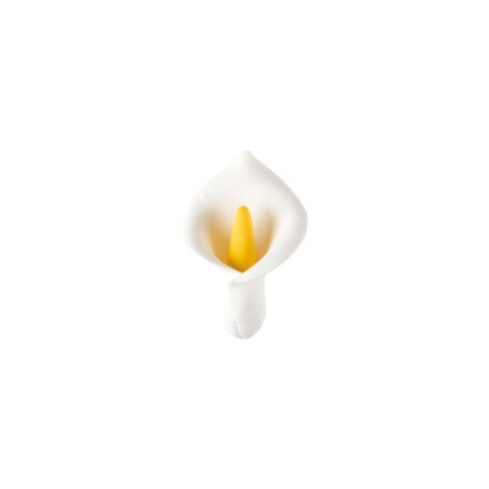 Sugar Arum 5cm