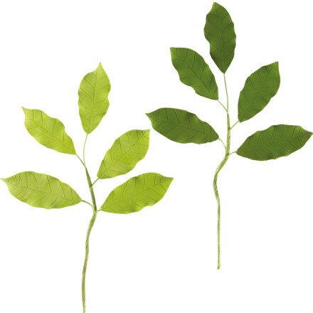 Sugar Leaves 17cm