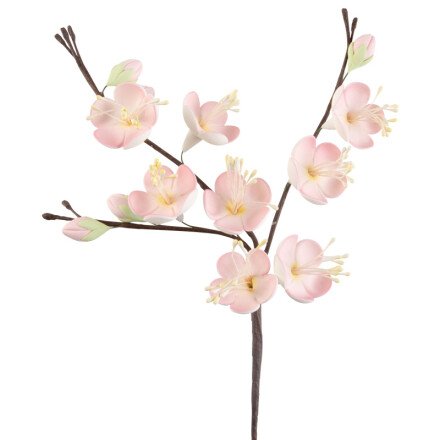 Sugar Cherry Blossom 16cm