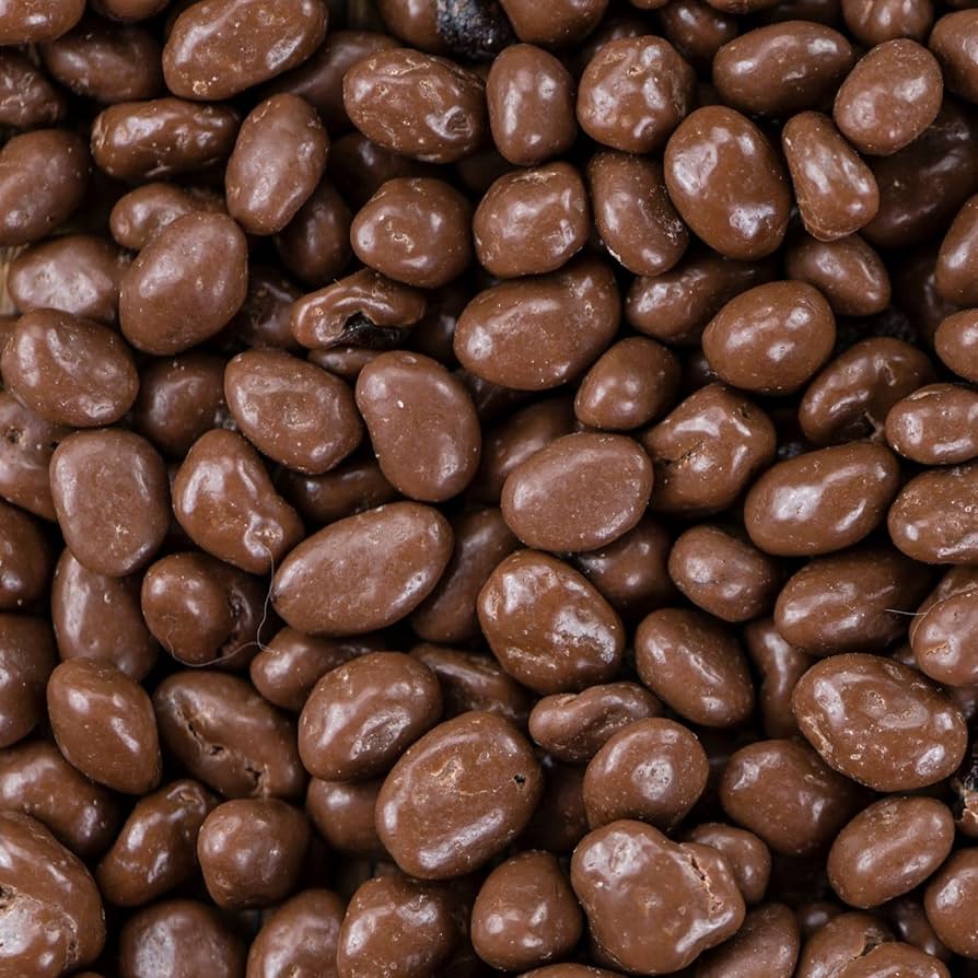 Chocolate Raisins