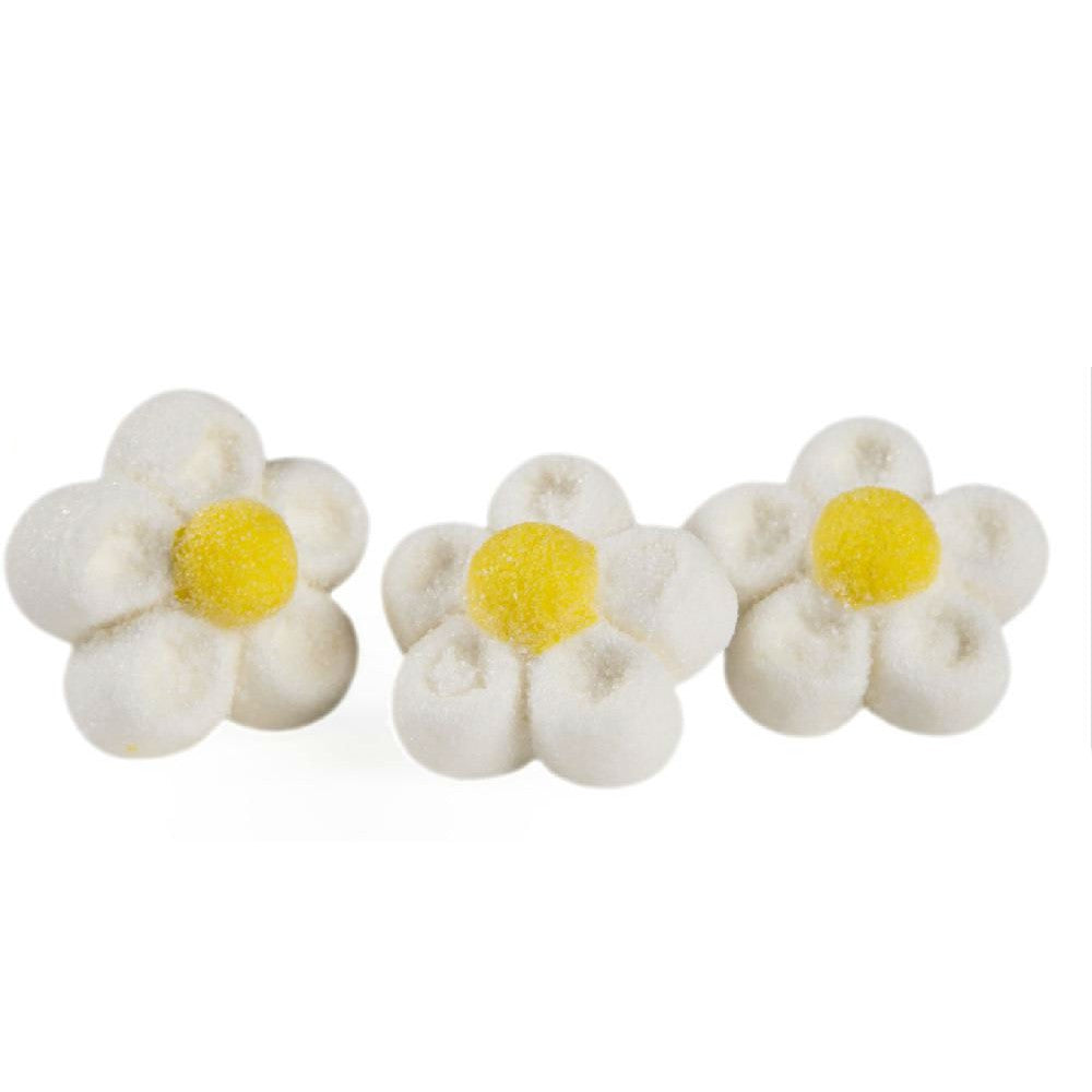 Marshmallow Daisies