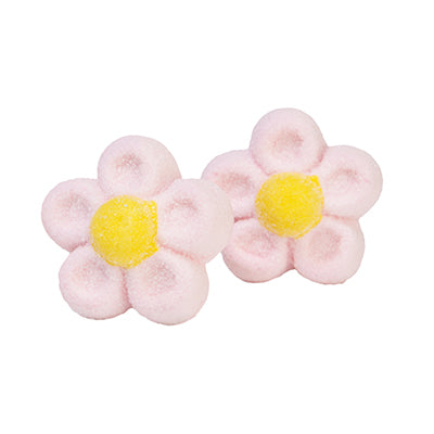 Marshmallow Daisies