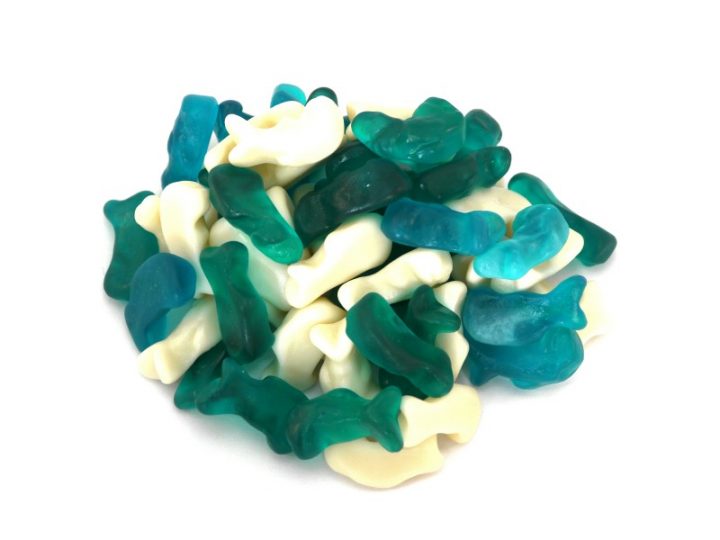 Jelly Mini Dolphins