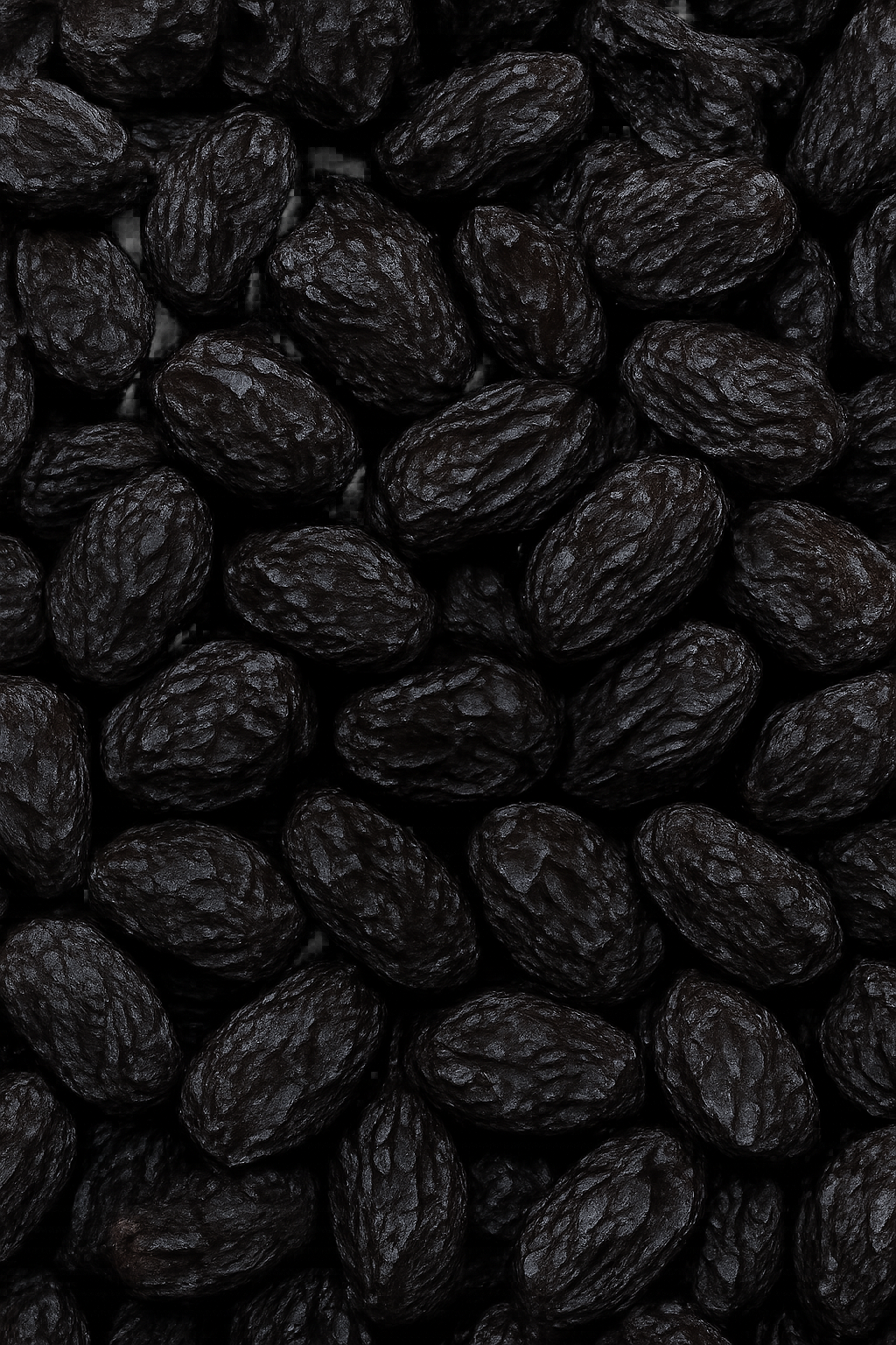 Raisins 500g
