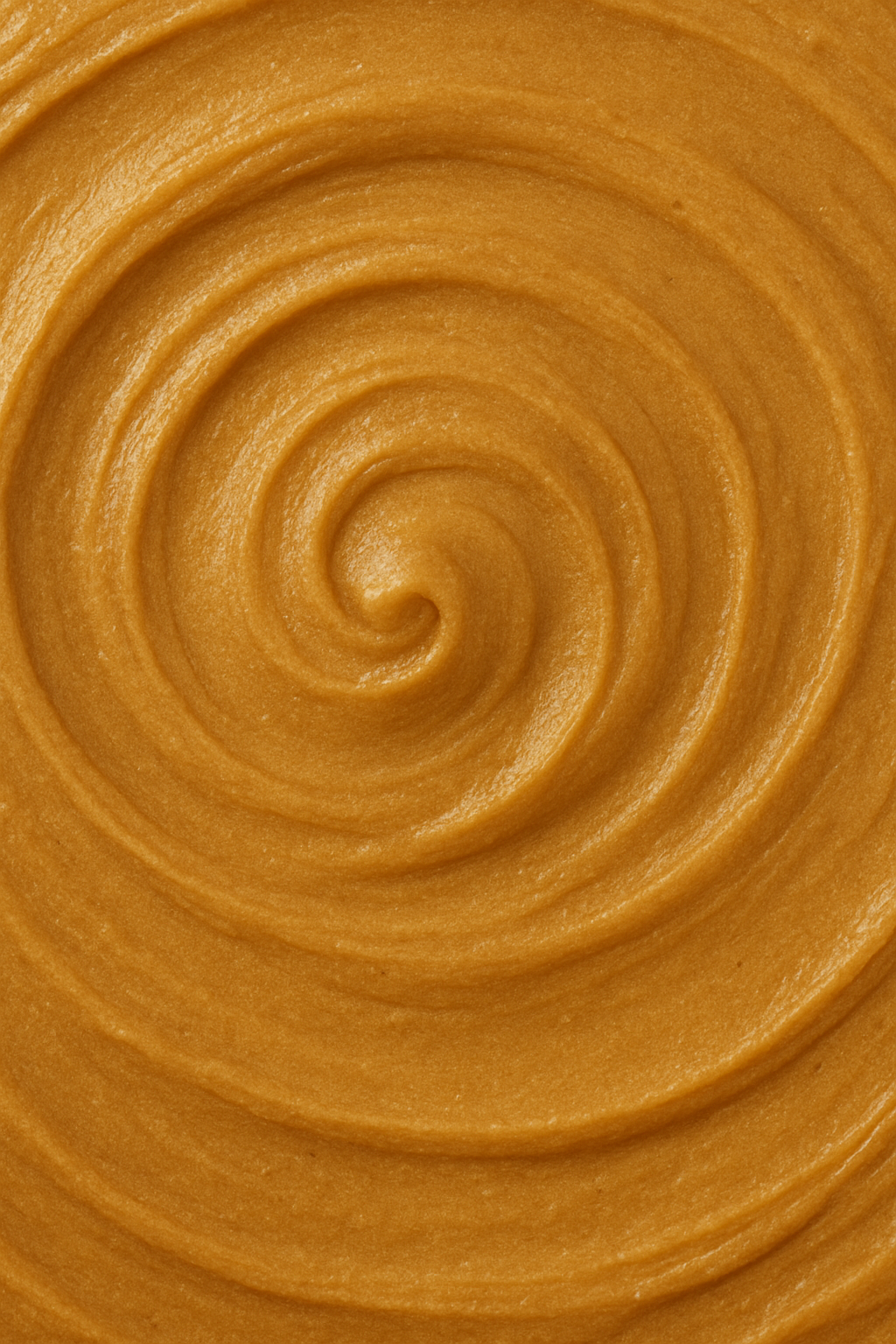 Caravella Speculoos Spread 500g