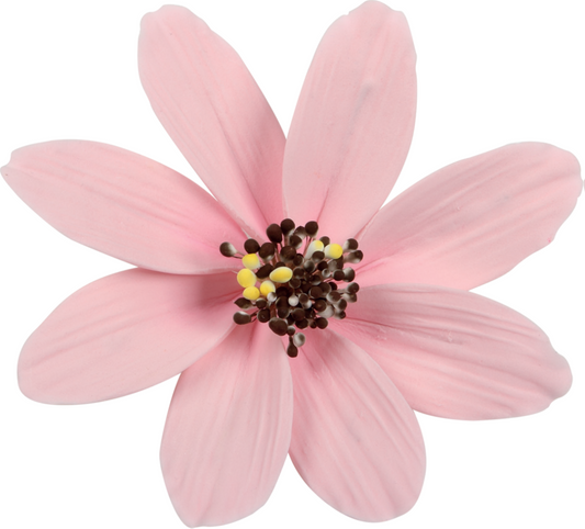 Pink Sugar Daisy 10cm