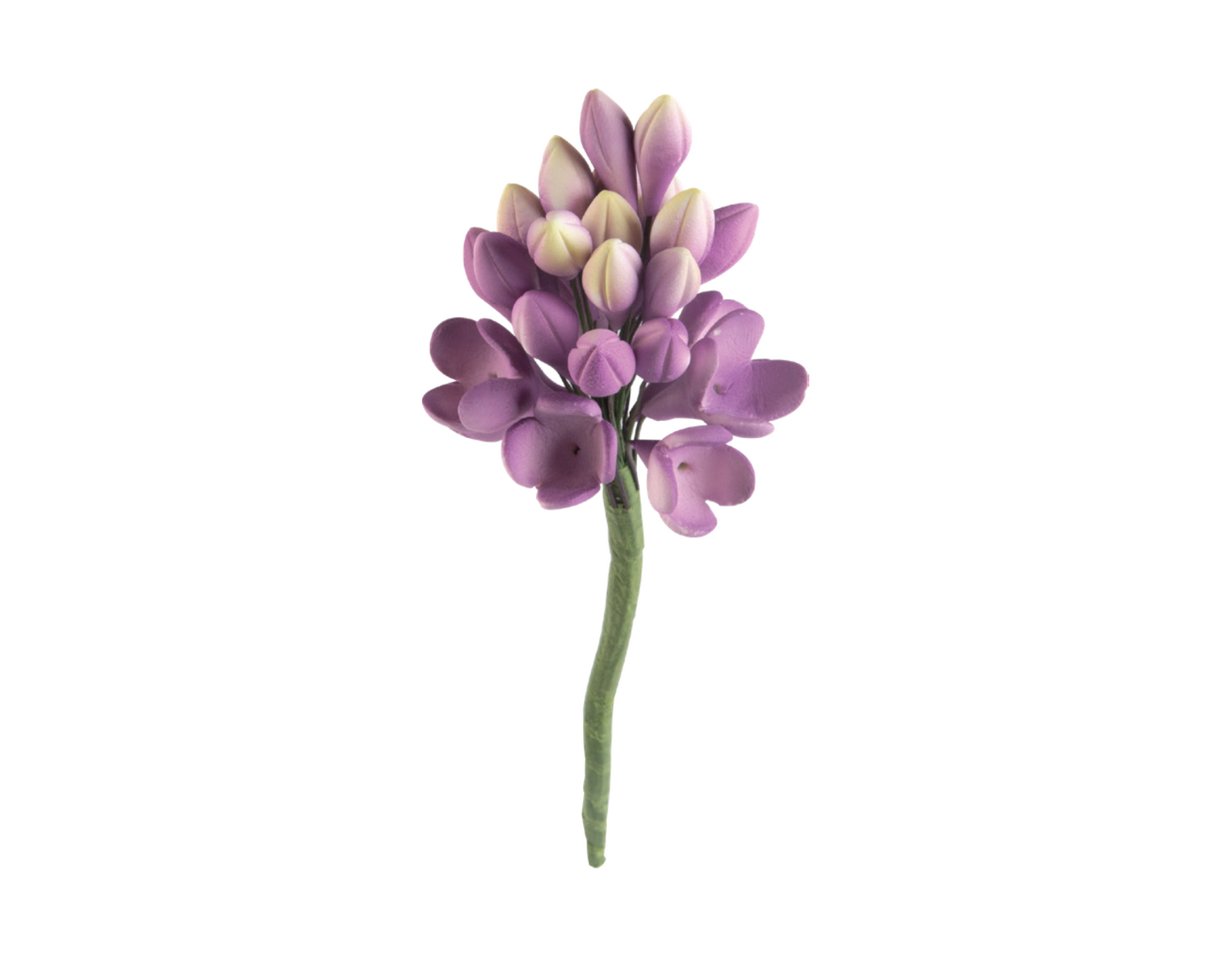 Sugar Lavender 6cm