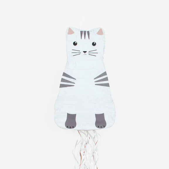 Pinata Cat