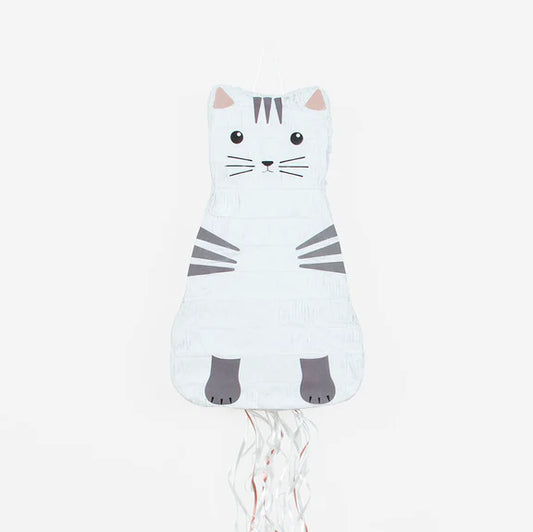 Pinata Cat